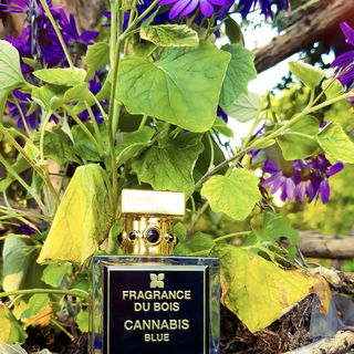 Cannabis Blue by Fragrance Du Bois