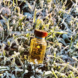 Hermès' erster Herrenduft (Mini-Vintage) im eisig sonnigen Grünen!