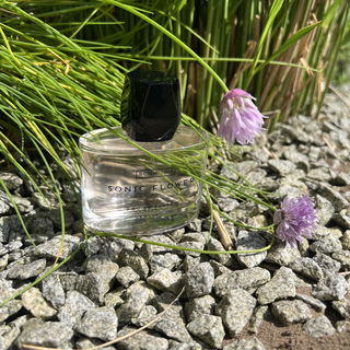 Sonic Flower - Room 1015