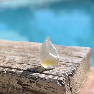 Parfum d'Été (Eau de Toilette) - Kenzo