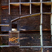 Für Fresh:  Verschleiß (by MadameLegras)