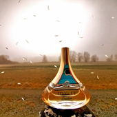 Ländliche Idylle, wenn sich die Sonne durch den Nebel gekämpft hat (von Gandix)