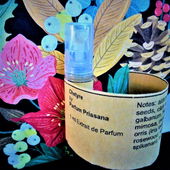 Blumen aus dem Dunkeln (von Floyd)