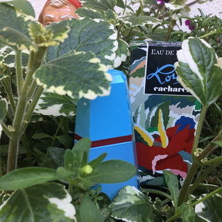 Loulou (Eau de Parfum) by Cacharel