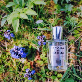 Colonia Assoluta - Acqua di Parma