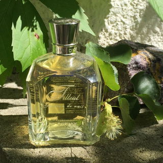 Tilleul Friction de Nuit - d'Orsay