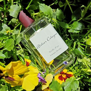 Trèfle Pur von Atelier Cologne