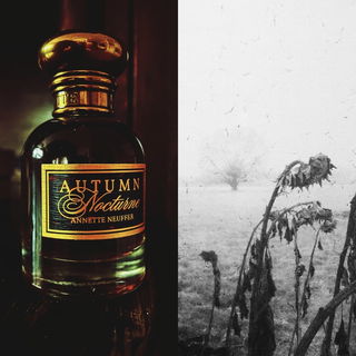 Autumn Nocturne von Annette Neuffer