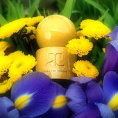 Ein Blick in die nahe Zukunft. Ganz lieben Dank euch allen 🤗 (by Gandix)