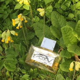 Tamango (1977) (Eau de Toilette) - Léonard