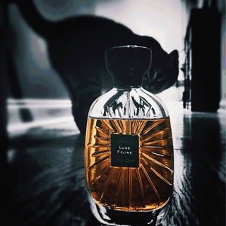 Lune Féline (Eau de Parfum) - Atelier des Ors