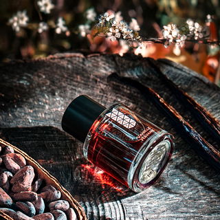 Vanille Havane (Eau de Parfum) - Les Indémodables