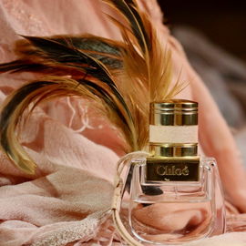 Un Zest de Rose - Les Parfums de Rosine