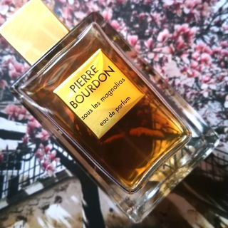 Sous Les Magnolias von Pierre Bourdon