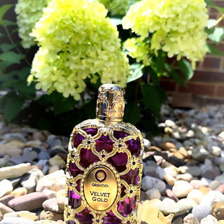 Velvet Gold - Orientica