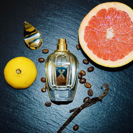 H - The Exclusive Parfum pour Homme - Roja Parfums