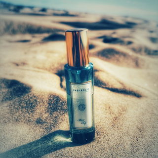 Black Tulip - Shay & Blue