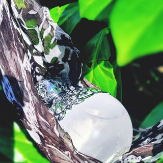 Aurora von Engelsrufer