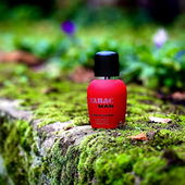 …📷🌍 Thank you. Danke schön. Merci beaucoup. Muchas gracias. Dōmo arigatō gozaimasu 💐… (von Kokusai)