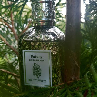 Paisley von Etro