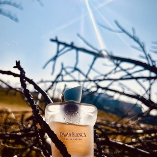 Casamorati - Dama Bianca (Eau de Parfum) by Xerjoff