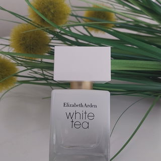 White Tea (Eau de Toilette) by Elizabeth Arden