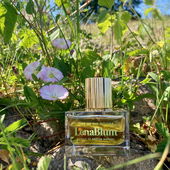 Das Foto fängt ein bisschen ein wie ich den Duft empfinde :) (von MiniGBIC)