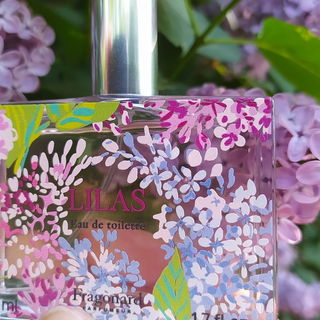 Lilas (2024) by Fragonard