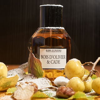 Die Jahreszeiten: Winter