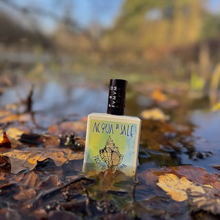 Orangea - Profumum Roma