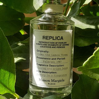 Under The Lemon Trees by Maison Margiela