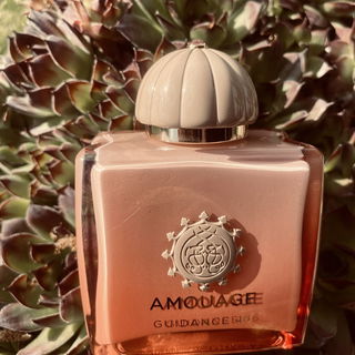 Guidance 46 by Amouage