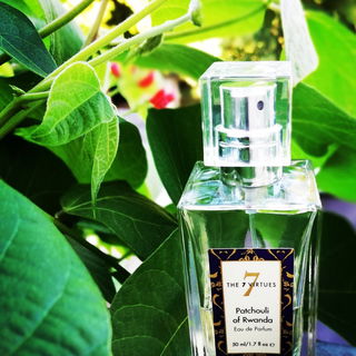 Patchouli of Rwanda - The 7 Virtues