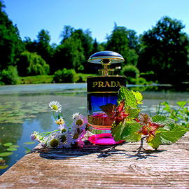 Candy Night (Eau de Parfum) - Prada