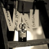 Achromatopsie (Farben-Challenge Fresh) (by BBMie)