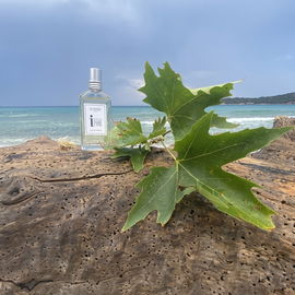 Eau d'Iparie - L'Occitane en Provence