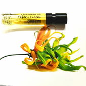 Der Hintergrund zu diesem Foto stammt aus dem Heftchen, das der Hersteller dem Probenset beigefügt hat (#Copyright-Hinweis!). (von CharlAmbre)