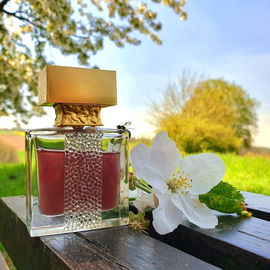 Ylang in Gold (Eau de Parfum) - M. Micallef