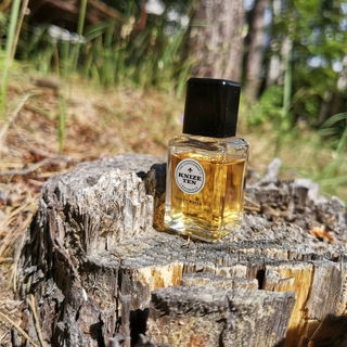 Lalique pour Homme Lion (Eau de Toilette) - Lalique