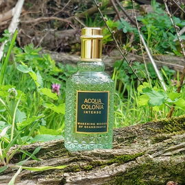 Azzaro pour Homme Cologne Intense - Azzaro