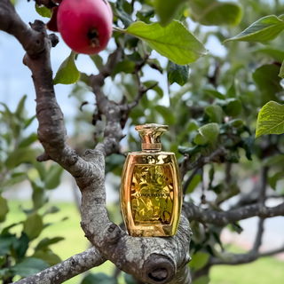 Conquistador by Franck Muller