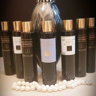 Aenotus - Puredistance