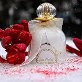 ...im Schnee versunken... (by Timmama)