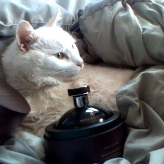 Malachite - Banana Republic