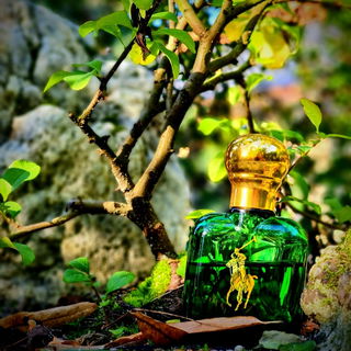 Polo (Eau de Toilette) von Ralph Lauren