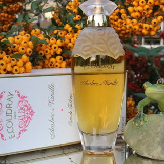 Ambre et Vanille - E. Coudray