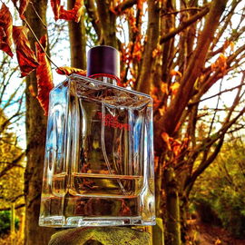 Terre d'Hermès (Eau de Toilette) - Hermès
