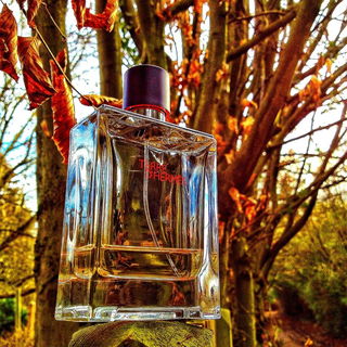 Terre d'Hermès (Eau de Toilette) - Hermès