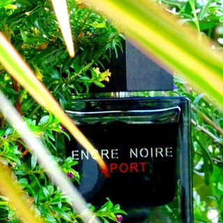Encre Noire Sport by Lalique