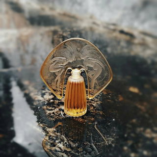 Seejungfrau dankt ♡ Der warme Regen.Ich wollt diesen Regensonntag festhalten.Eine Ahnung - von November Rain.